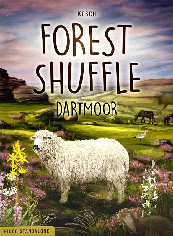 Forest Shuffle Dartmoor